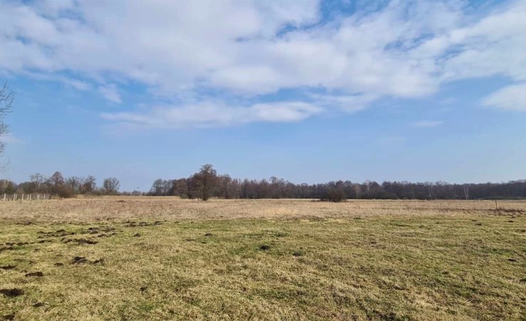 działka na sprzedaż - Grabów nad Pilicą, Kępa Niemojewska